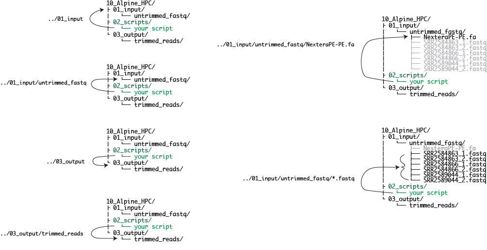 directory structure